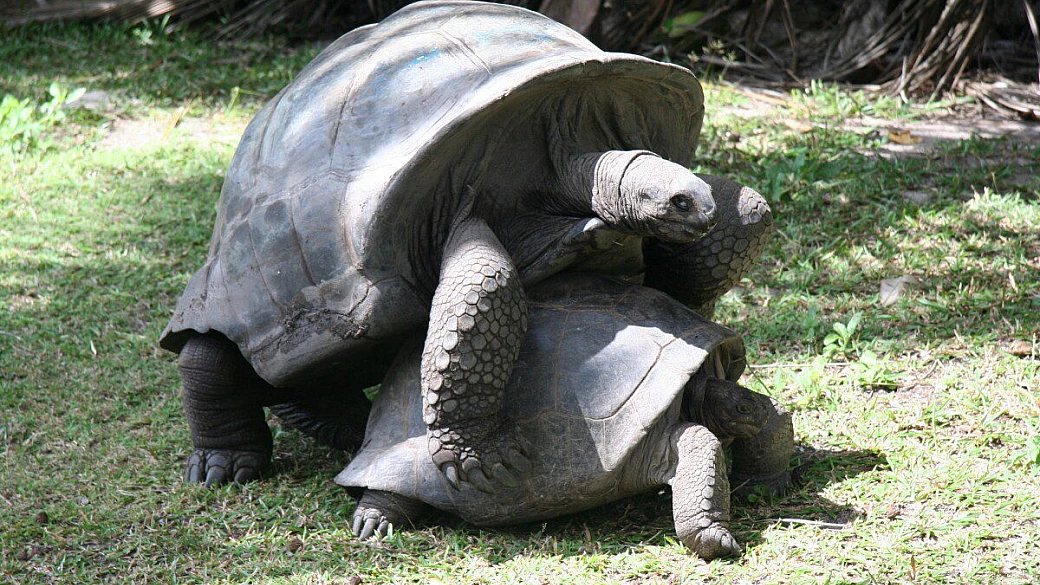 il nostro viaggio di nozze 2