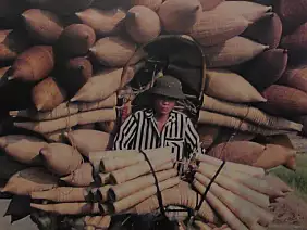 halong-bay-mare-r4mgt