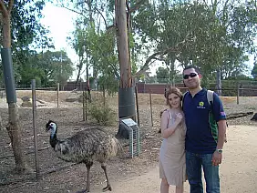 hamilton-island-a2gy3