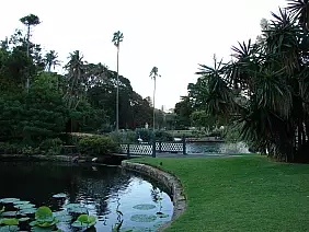 hamilton-island-cb42y