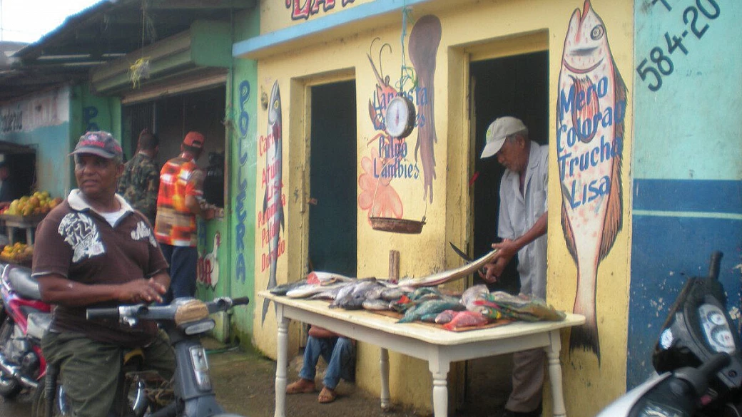 3 settimane in una terra deludente