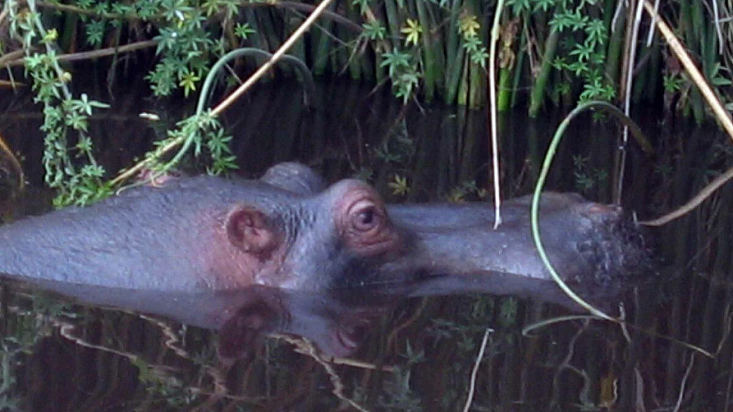 safari in tanzania 4