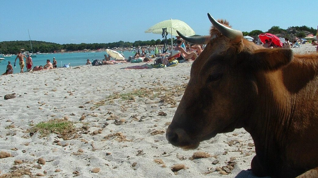 dal monginevro a bordeaux