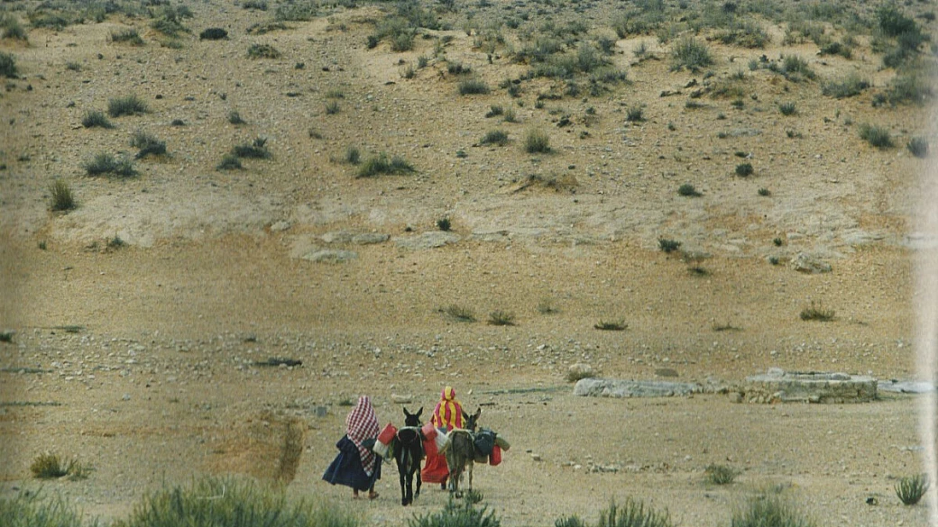 sulle tracce dei faraoni... racconti ed emozioni