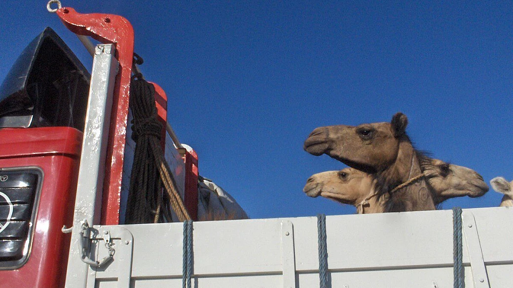 la magia dell'egitto