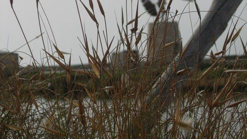 san vito lo capo e la sicilia occidentale