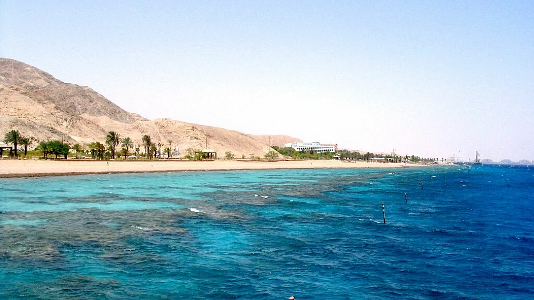 tutti i pesci del mar rosso