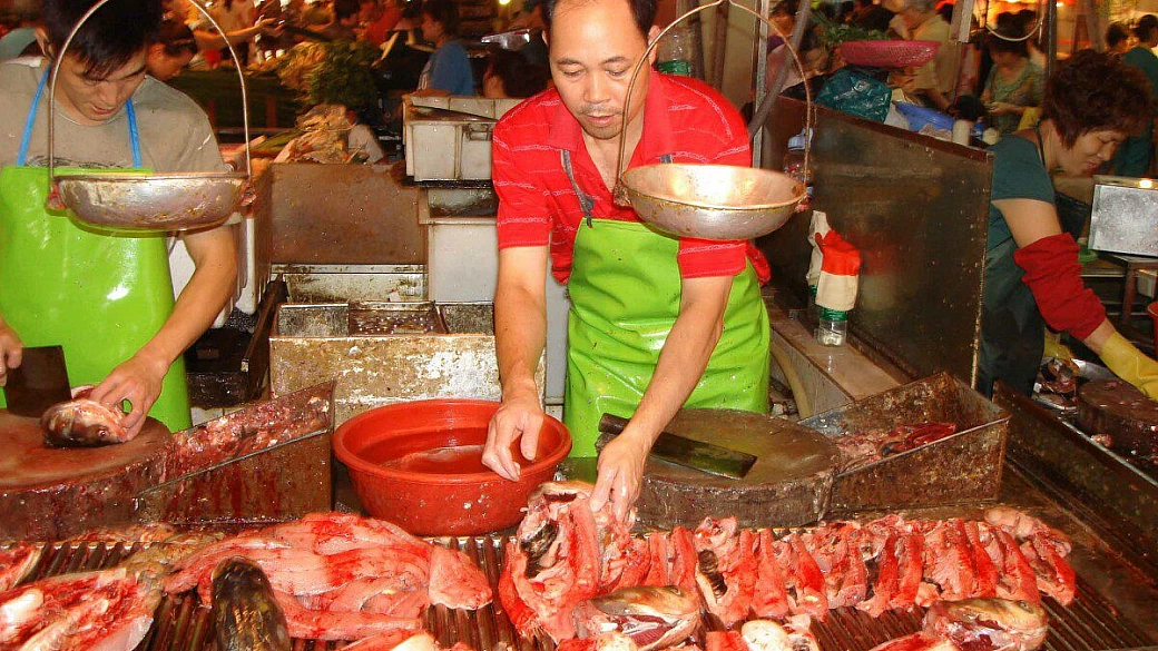 cina e mongolia 2005