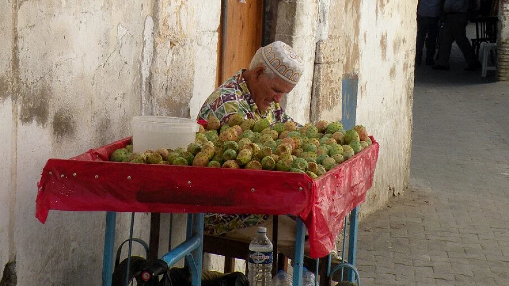 alla scoperta della tunisia