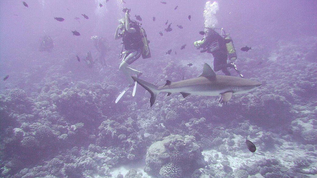 la polinesia australe: raivavae