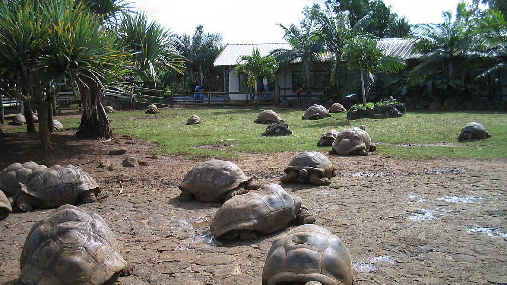 il viaggio di 2 single non a nozze