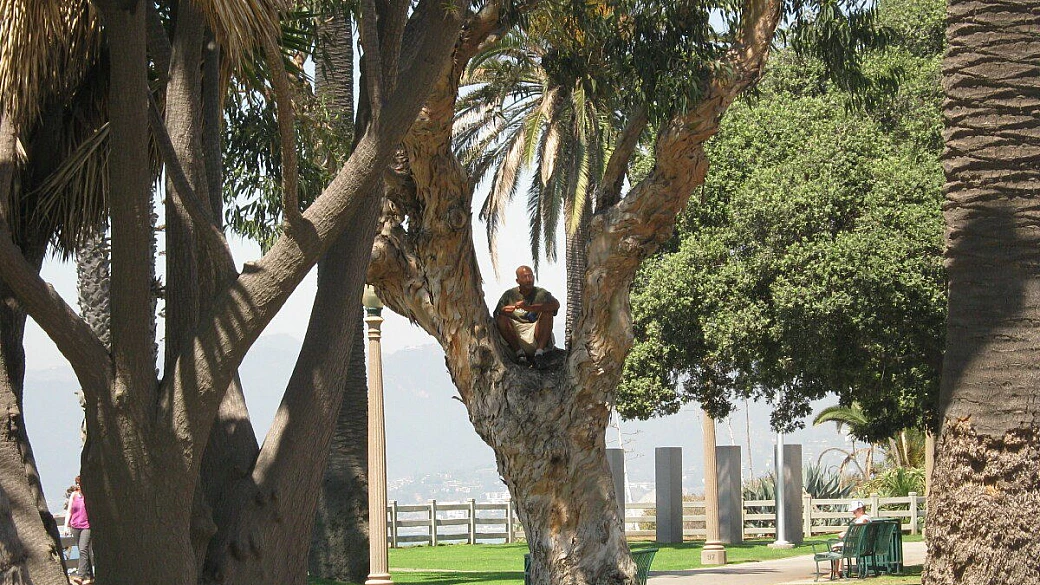 4 giorni a los angeles