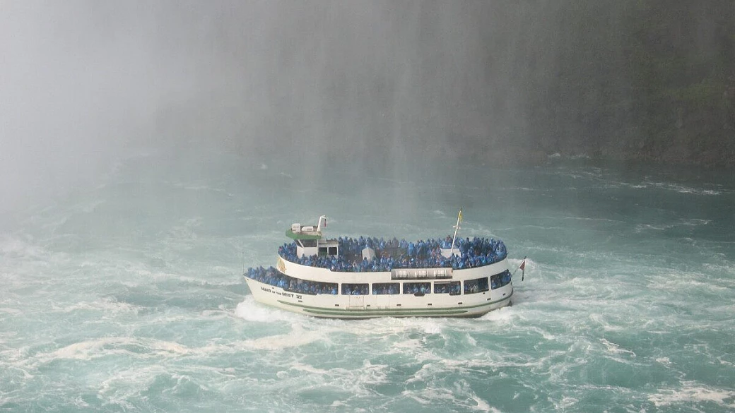 orche di non oche!! canadesi