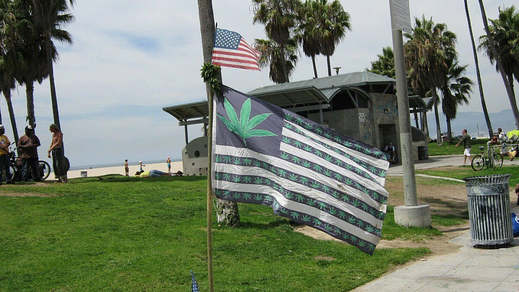 new york! new york! 9