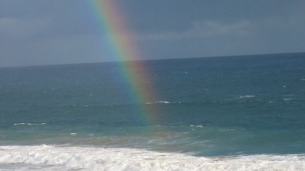 3 settimane da sogno