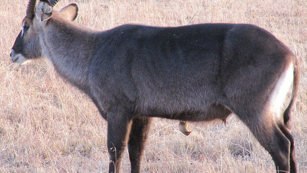 l'africa ti ruba il cuore!