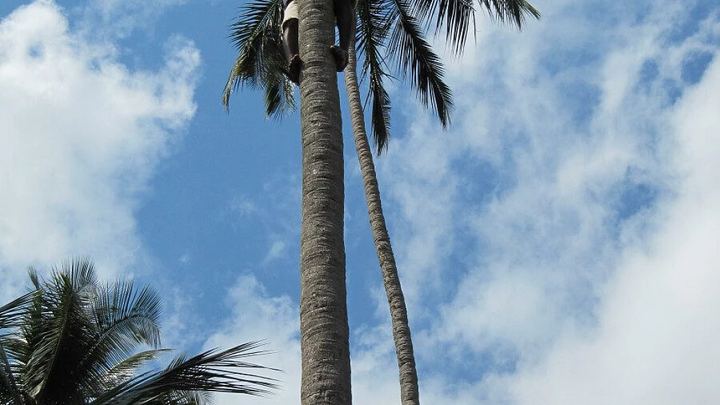 safari in tanzania: che emozione!