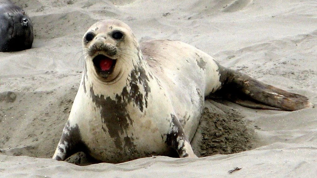 argentina: nord a sud