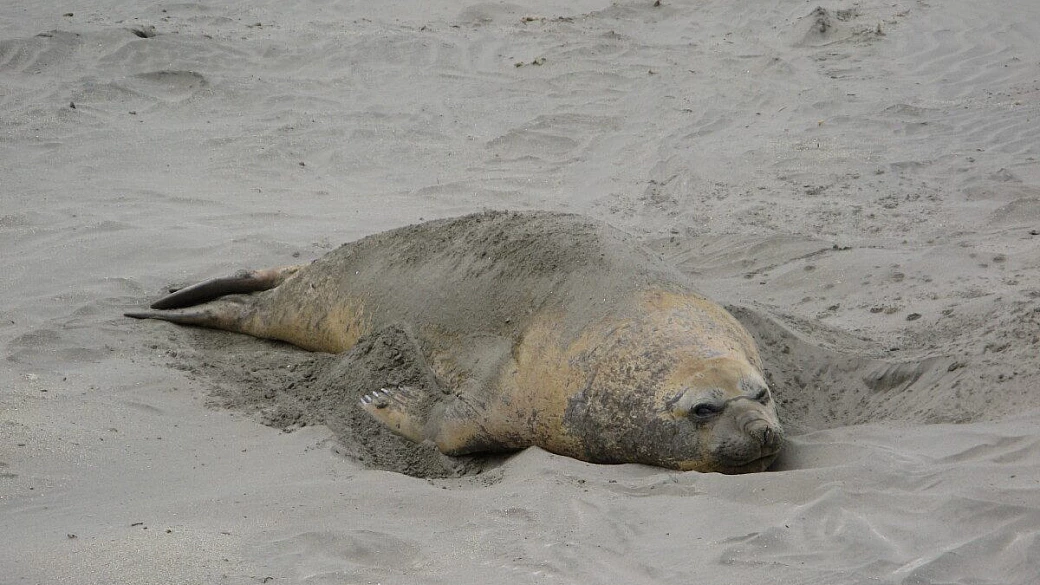 conoscere l'argentina