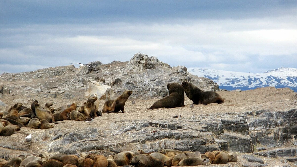 viaggio in argentina di laura e piero