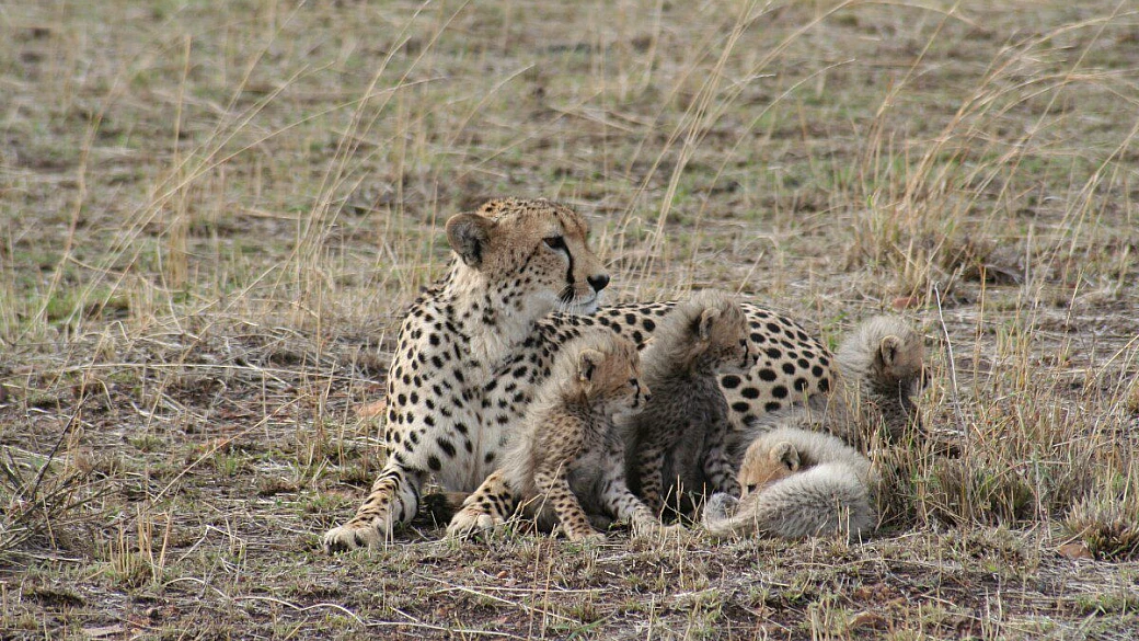 stavolta è amore: è kenya!