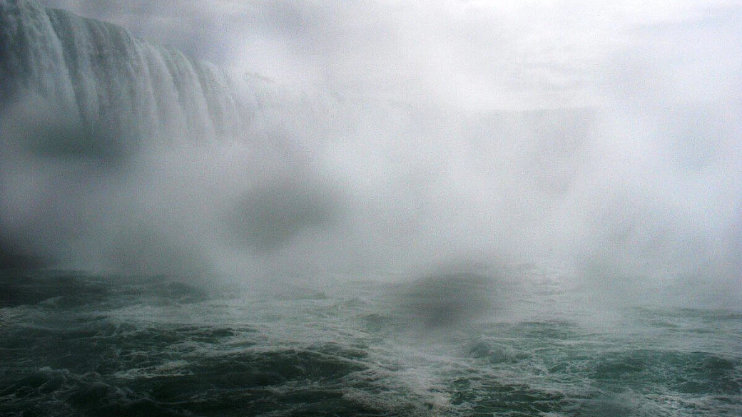 into the wild: vancouver island