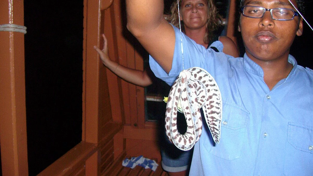 É stata una vera holiday, nonostante tutto