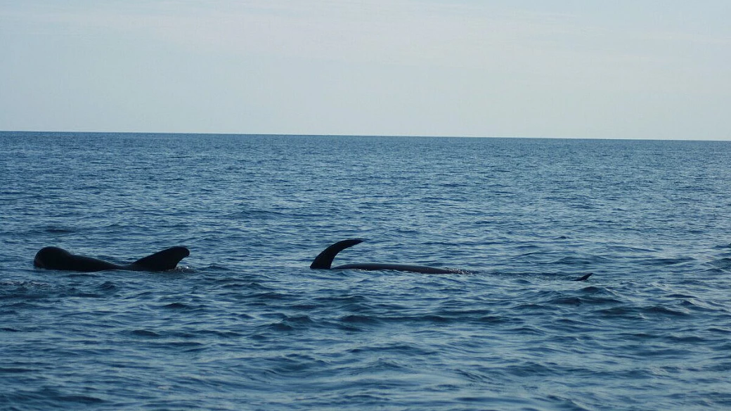 messico-guatemala-belize sublime