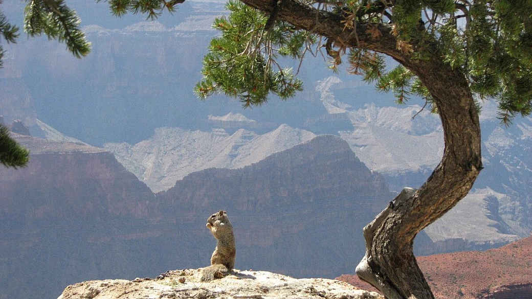 miami,key west e bahamas