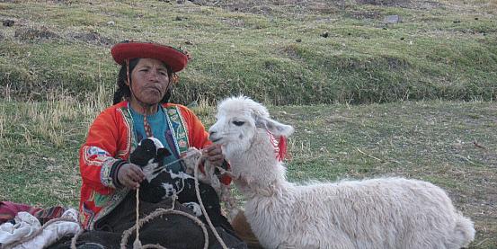 peruviana al lavoro
