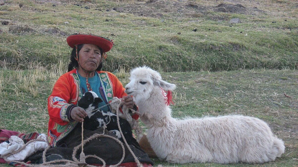 gli inkas conoscevano la ruota... e non solo