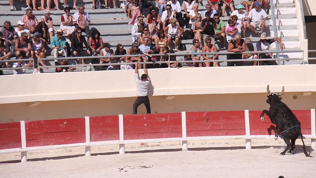 normandia e bretagna: in moto al ritmo delle maree
