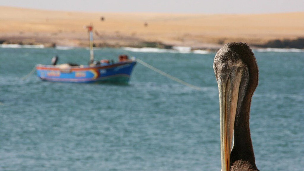 dove le ande incontrano l'amazzonia