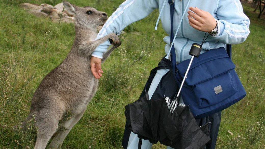 un mese in australia con 3000 euro