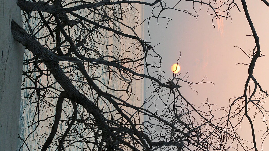 perchè andare alle maldive e non scegliere un reso