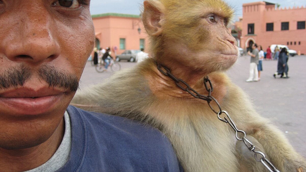 3...2...1...marrakech