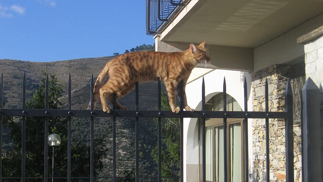 la colorattissima e schiva procida