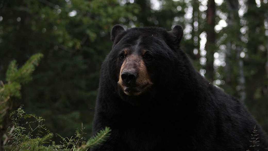 perchè nessuno ce lo ha mai detto?