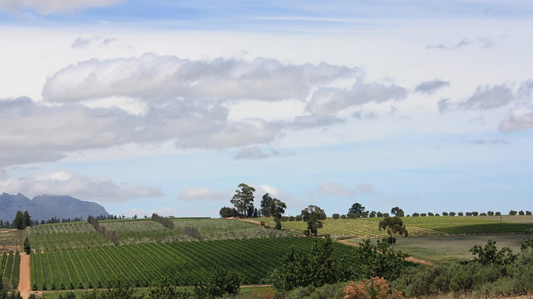 capo di buona speranza - winelands in rotelle