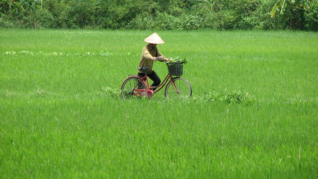 cambogia e vietnam, spunti di viaggio