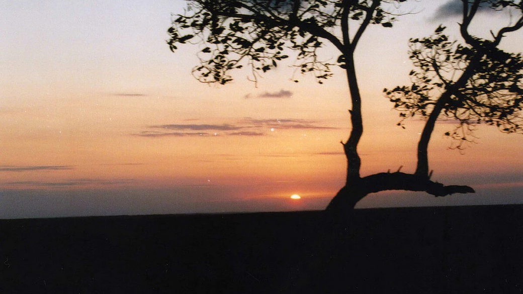 kenya... natura e... libertà