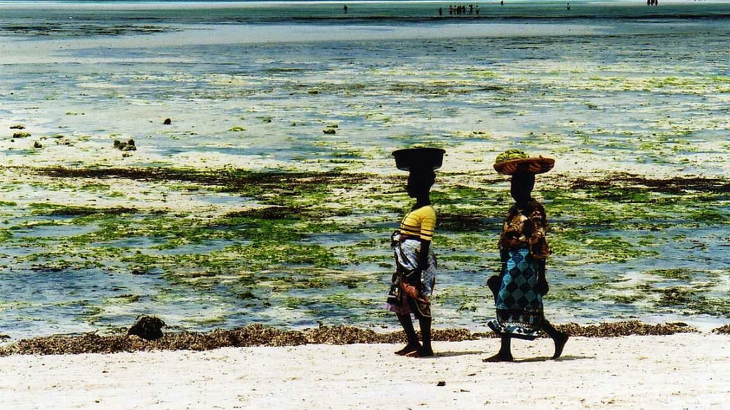 kenya tutto quello che si deve fare