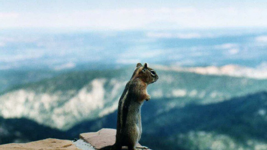 sei personaggi in cerca del west