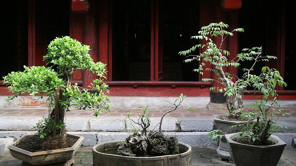 ..dal nord al sud del paese del drago blu..