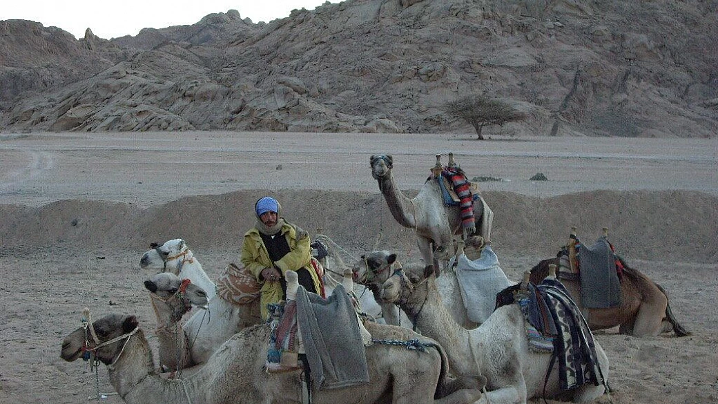 sharm el sheikh: perchè si, perchè no