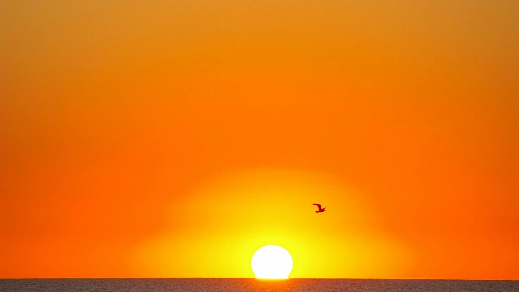 florida da ricordare e florida da dimenticare