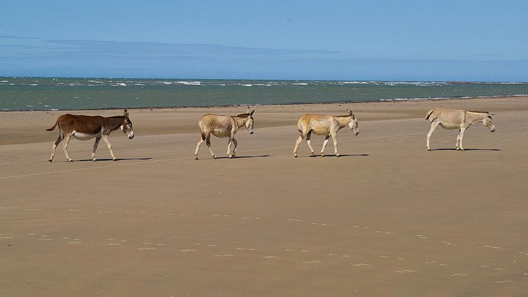 amazonia senza filtri
