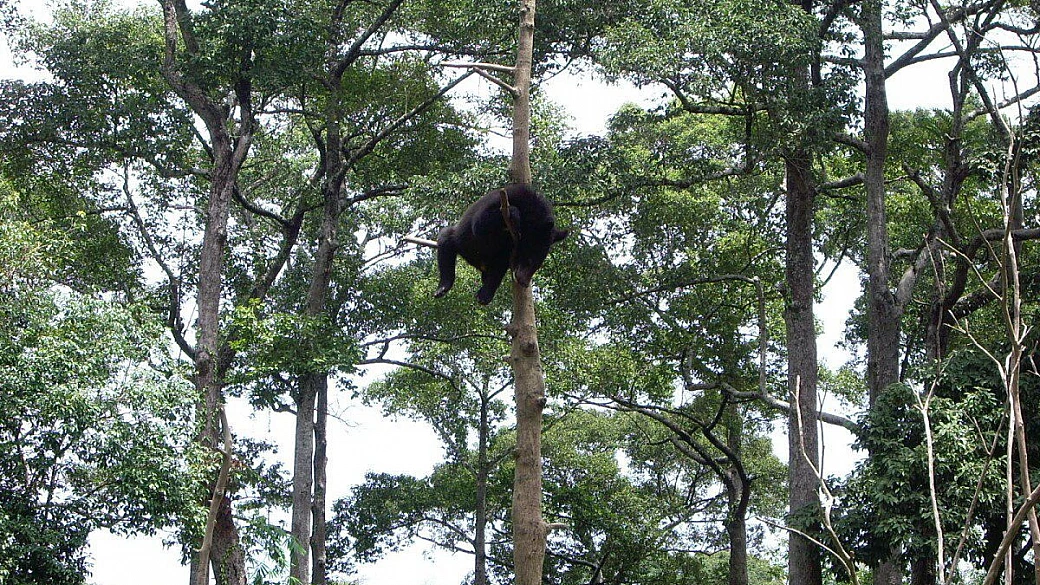 myanmar il paese della gente che sorride