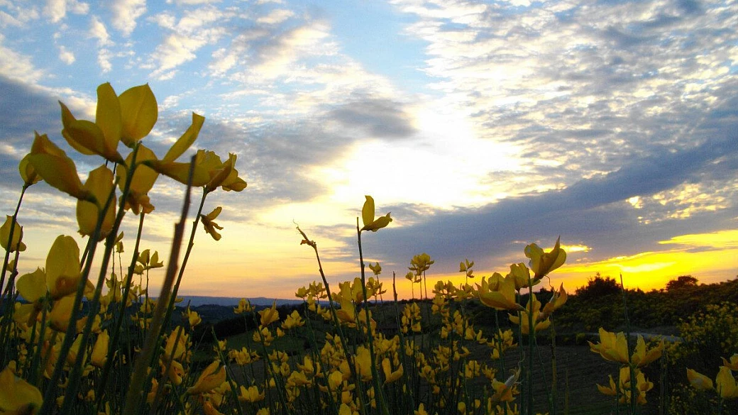 nurra, stintino, castelsardo, maddalena