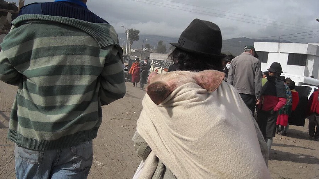 viaggio nella preistoria